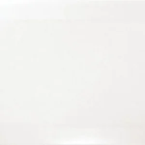 Bisel-Blanco-Brillo-10×20-1