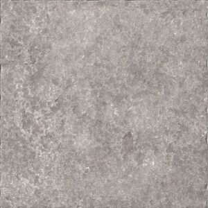CASSIO-GRIGIO-2
