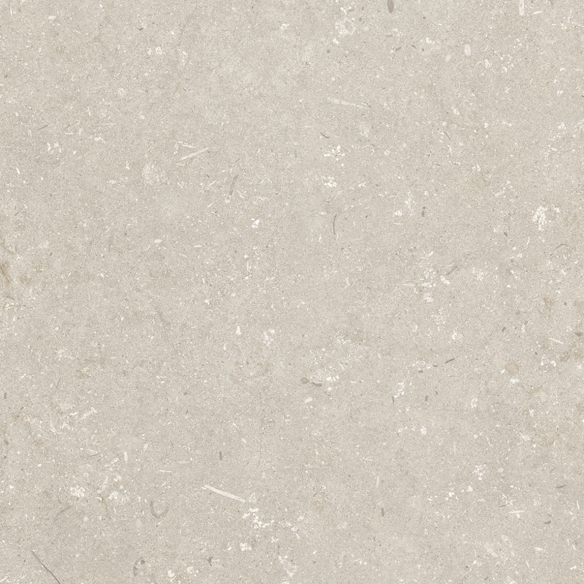 Shellstone Beige 60x60x2 - Afbeelding 2