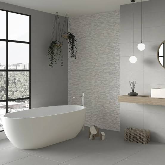 Dafne Gris 25x50