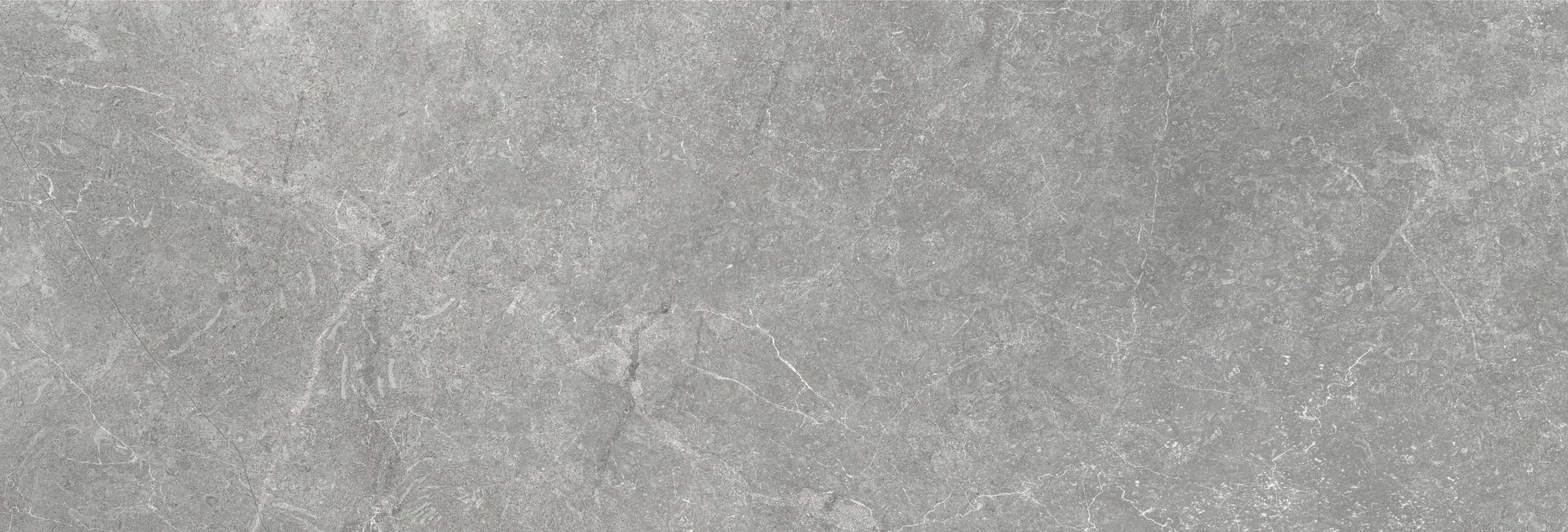 Storm Wall Grey 25×75 – Argenta, tegelfoto