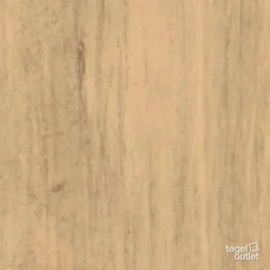 10__29026