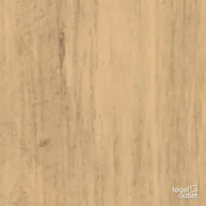 10__29026