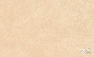 Boston Arena 25×40