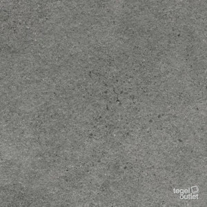 Authority_graphite_struktura_mat_595x595_T1