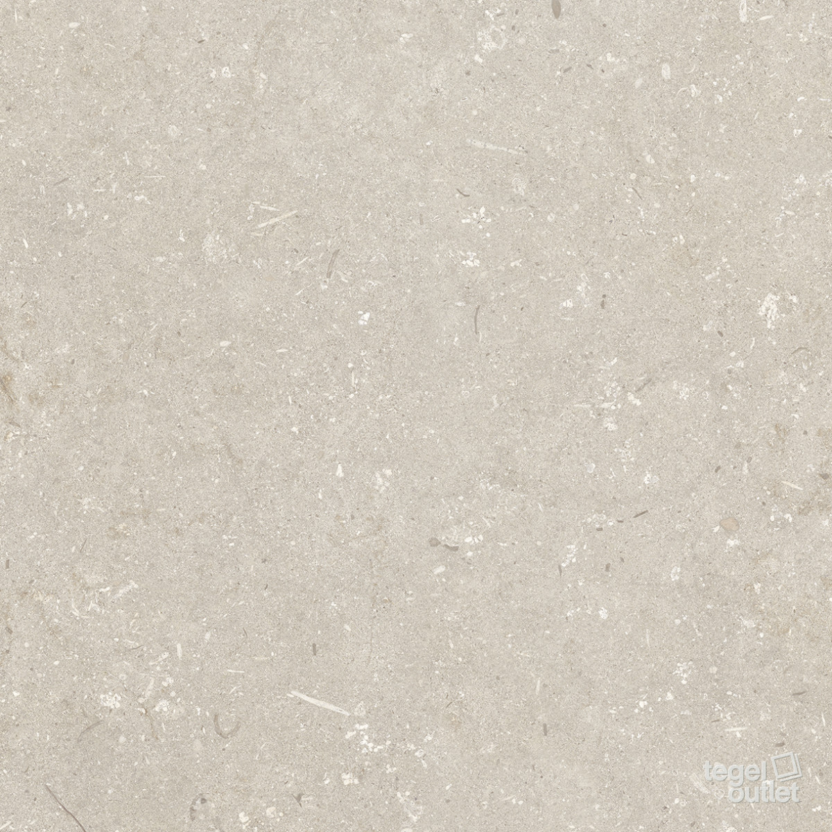 Shellstone Beige 60x60x2 – Image 2