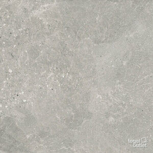 SILVER-e1727435532752