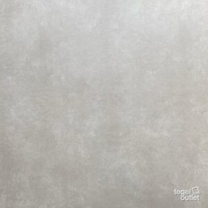 TOKIO GREIGE 60×60