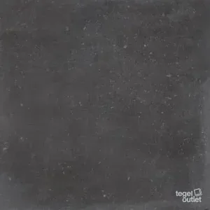 Ardennes Dark 90x90: de tegel
