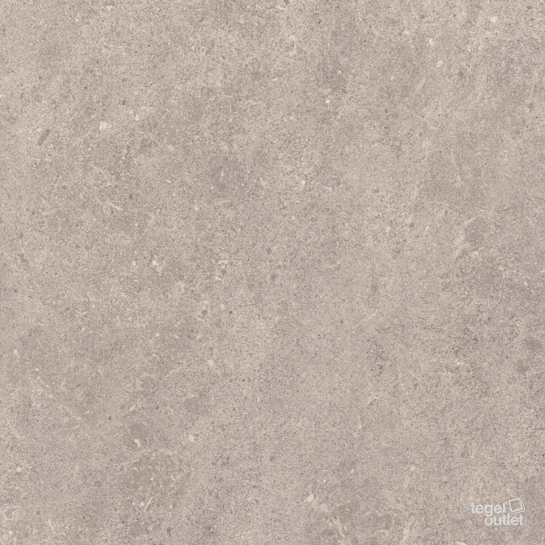 Arena Taupe 60x60: de tegel