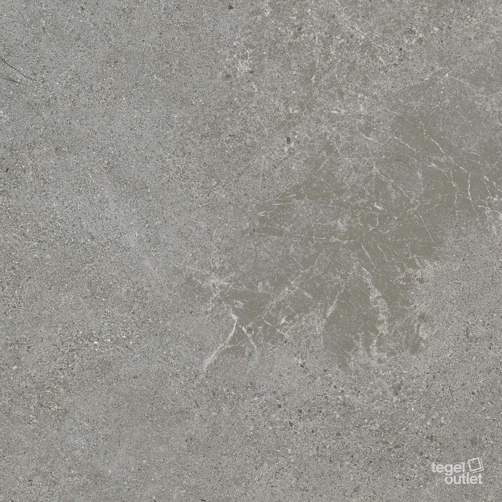 Authority Grey 60x60: de tegel