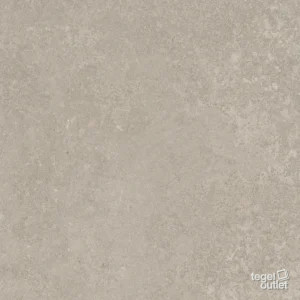 Avalon Gris – tegelfoto Saime Avalon Gris – tegelfoto