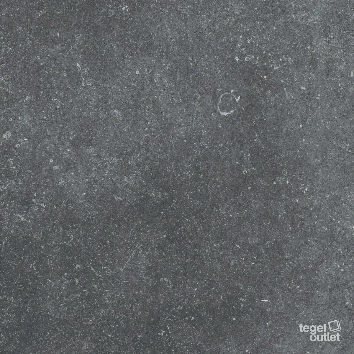 Belgique Black 60x60: de tegel