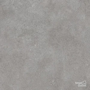 Betonico Grey 60x60: de tegel
