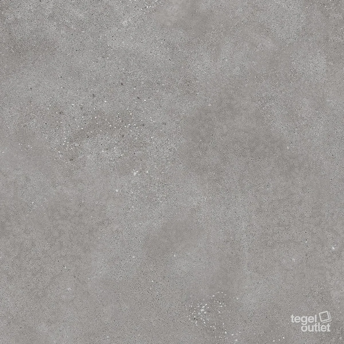 Betonico Grey 60x60: de tegel