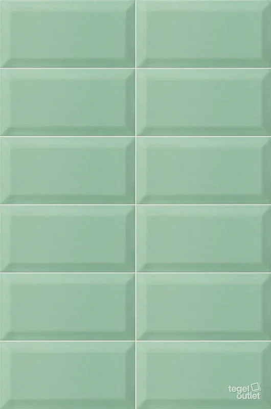 Bissel Emerald 10x20: de tegel