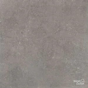 Blue Home Grey 60x60: de tegel
