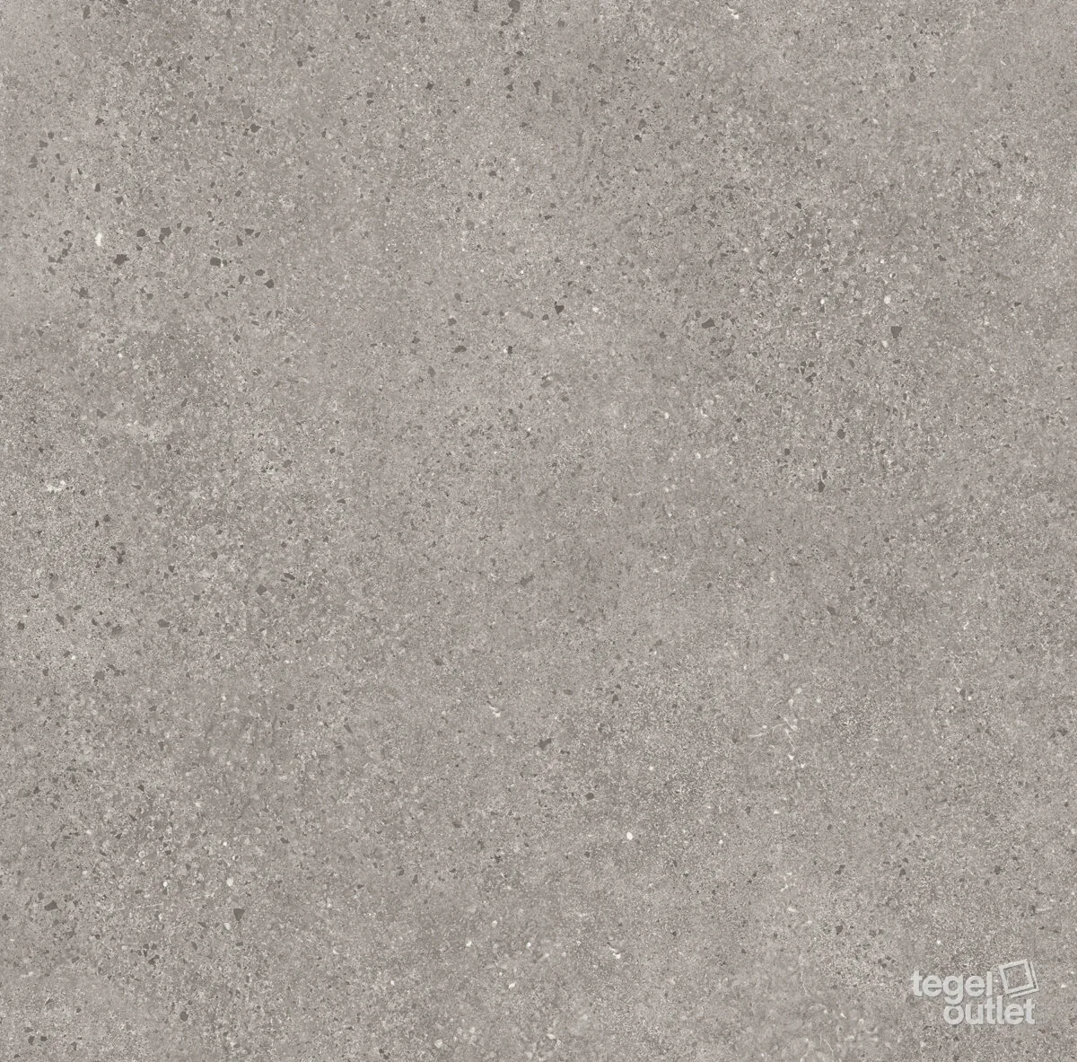 Borgo Grey 60x120: de tegel