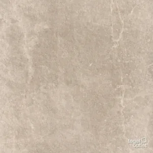 Eternal Grey 60x60: de tegel