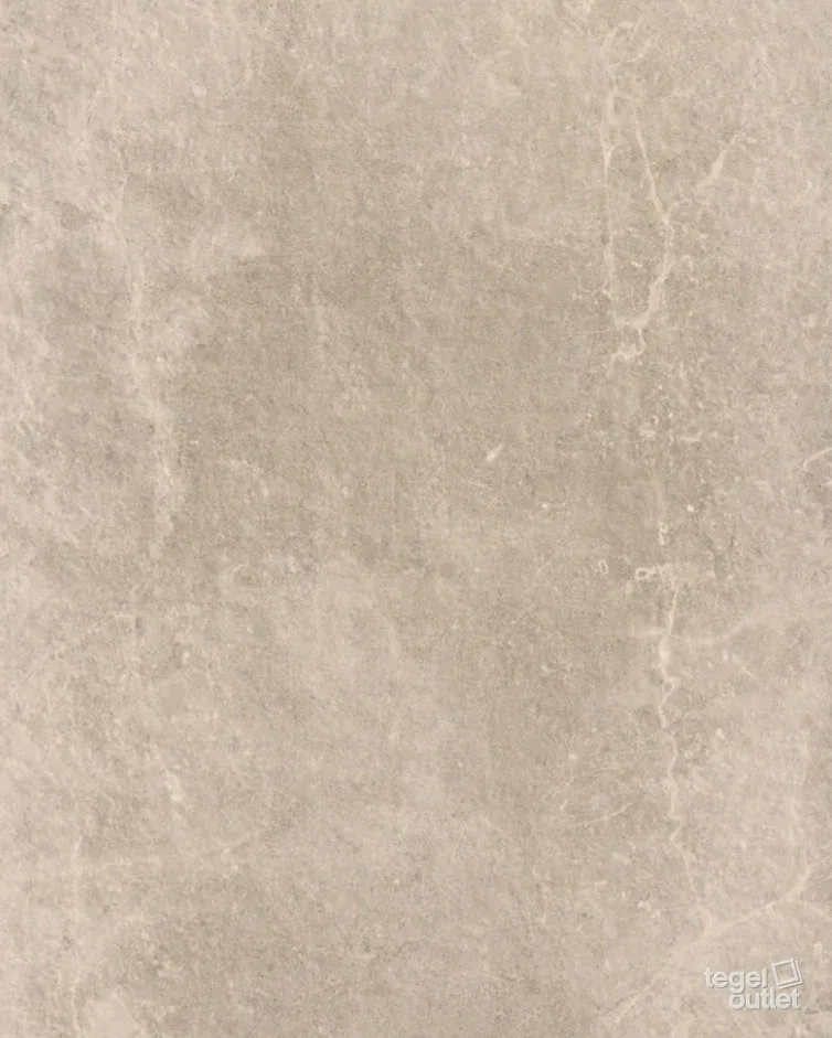 Eternal Grey 60x60: de tegel