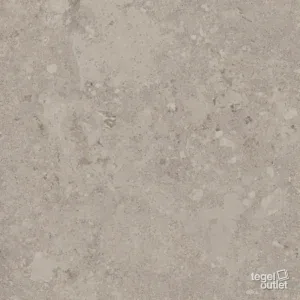 Freedust Taupe 60x120: de tegel