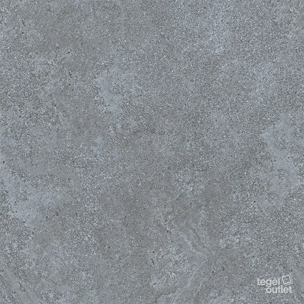 Loyalstone Grey 60x60: de tegel