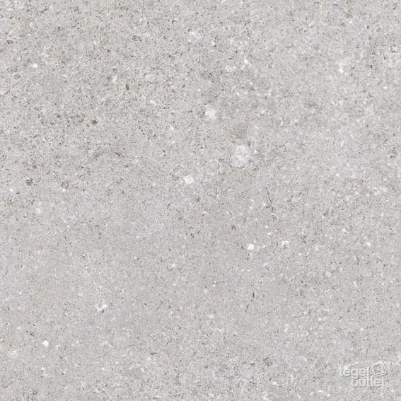Nassau Gris 20×20 – Vives, tegelfoto (4R45)