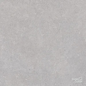 Nassau Gris 59,3×59,3 – Vives, tegelfoto (45N3)