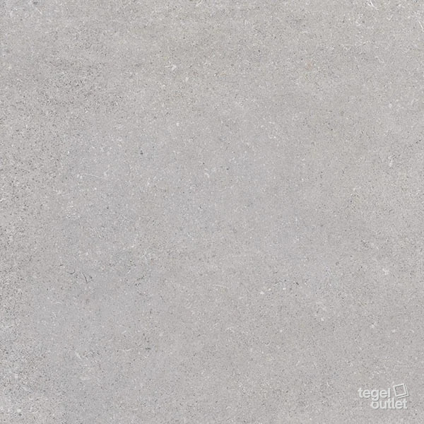 Nassau Gris Mat 60×60 – Vives, tegelfoto (44IS)