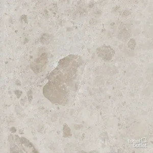 Petra Taupe 60x60: de tegel