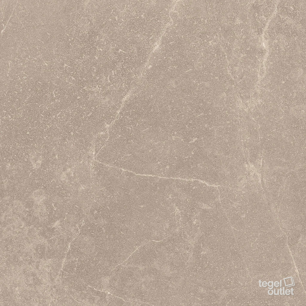 Storm Earth 30×60 – Argenta, detail van het oppervlak
