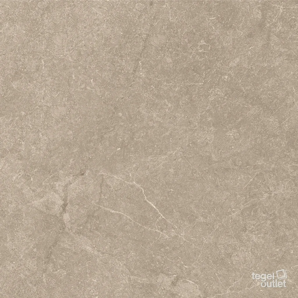 Storm Wall Earth 25×75 – Argenta, détail de la surface