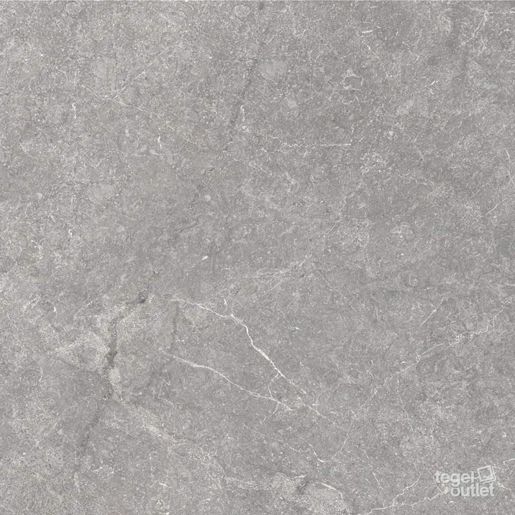 Storm Wall Grey 25×75 – Argenta, détail de la surface