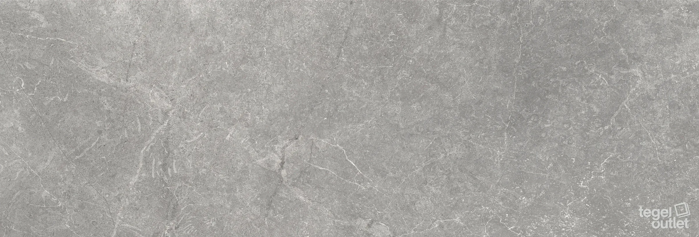 Storm Wall Grey 25×75 – Argenta, photo du carreau
