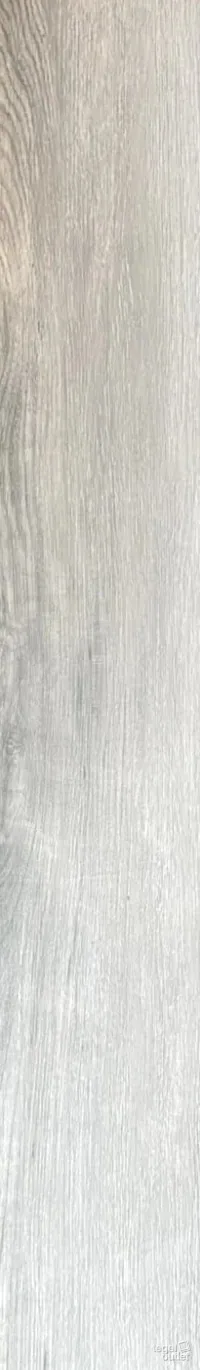Tree Gelsomino 20x120: één plank in wit gewassen, lichtgrijs eiken, recht van boven