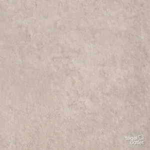 Zeed Grey 60x60: de tegel